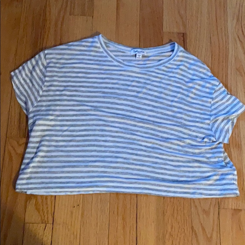 Splendid Cropped Striped T-Shirt